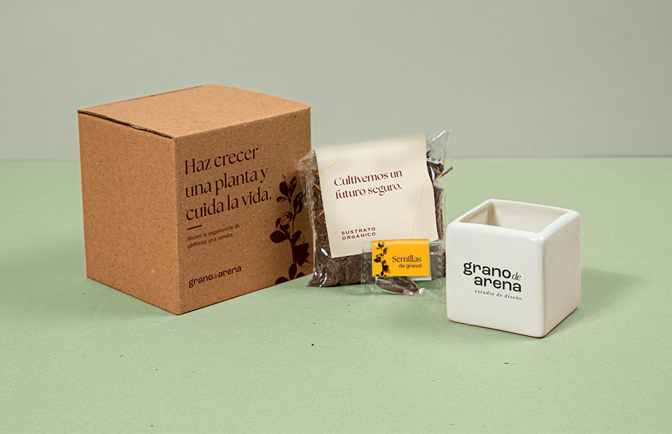 Kit siembra con matera cerámica