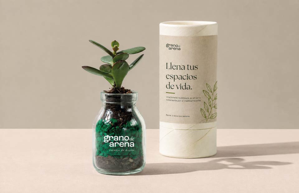 Planta botella
