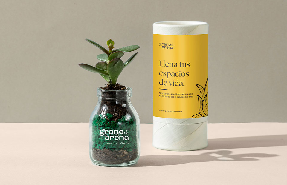 Planta botella