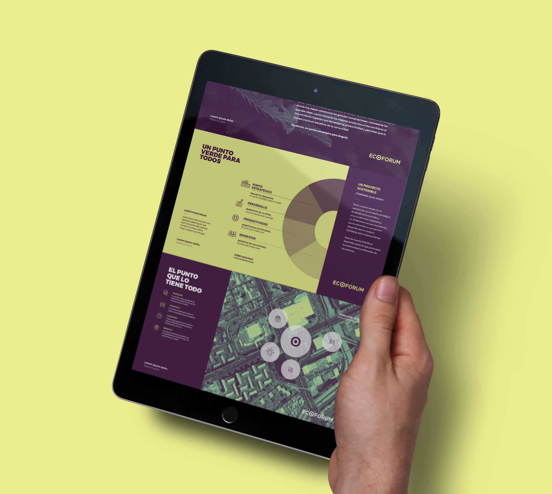 Diseño  para propuesta de identidad para proyecto inmobiliario Ecoforum - Terranum