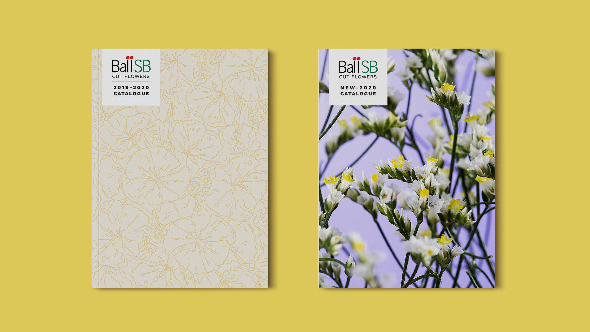 Sistema visual, diseño de campañas, conceptos creativos para flores, video, fotografía, material de ferias - diseñoBall SB