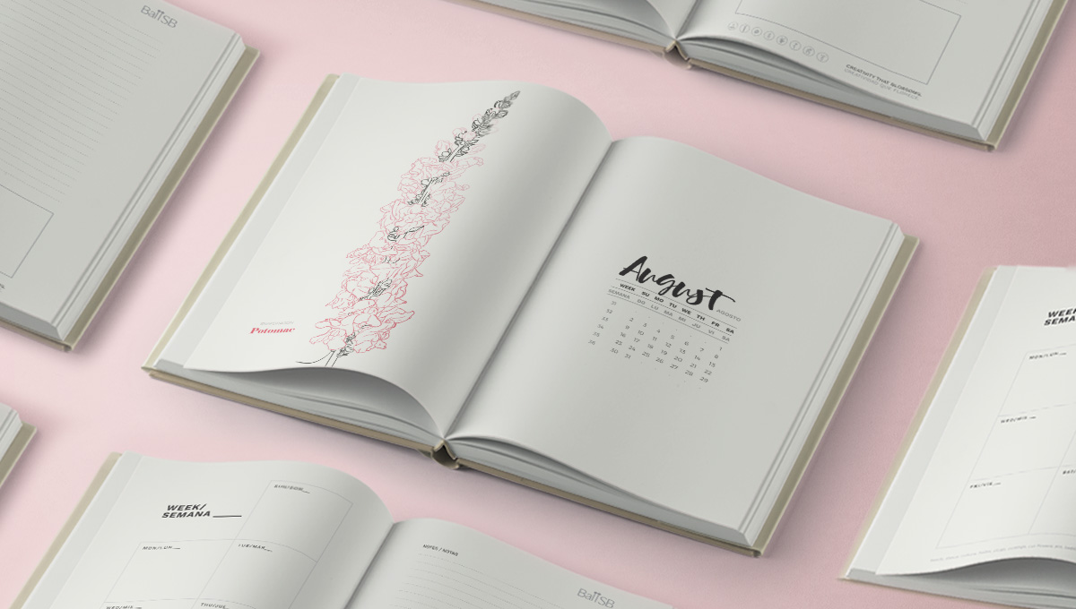 Sistema visual, diseño de campañas, conceptos creativos para flores, video, fotografía, material de ferias - diseñoBall SB