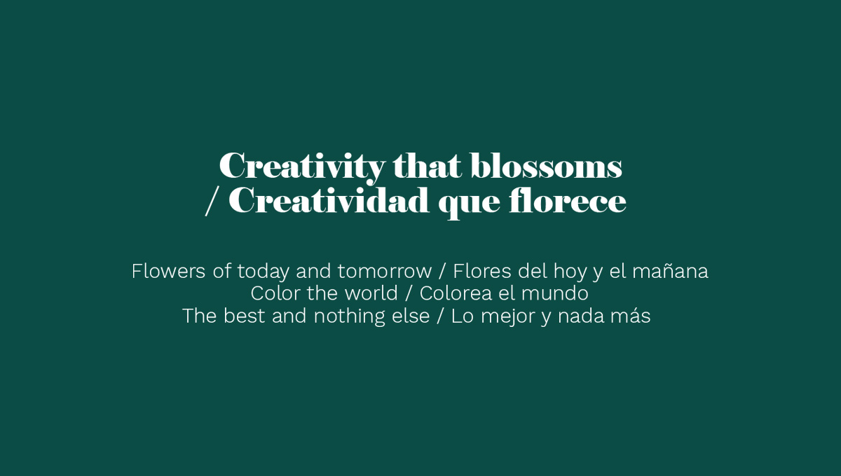 Sistema visual, diseño de campañas, conceptos creativos para flores, video, fotografía, material de ferias - diseñoBall SB