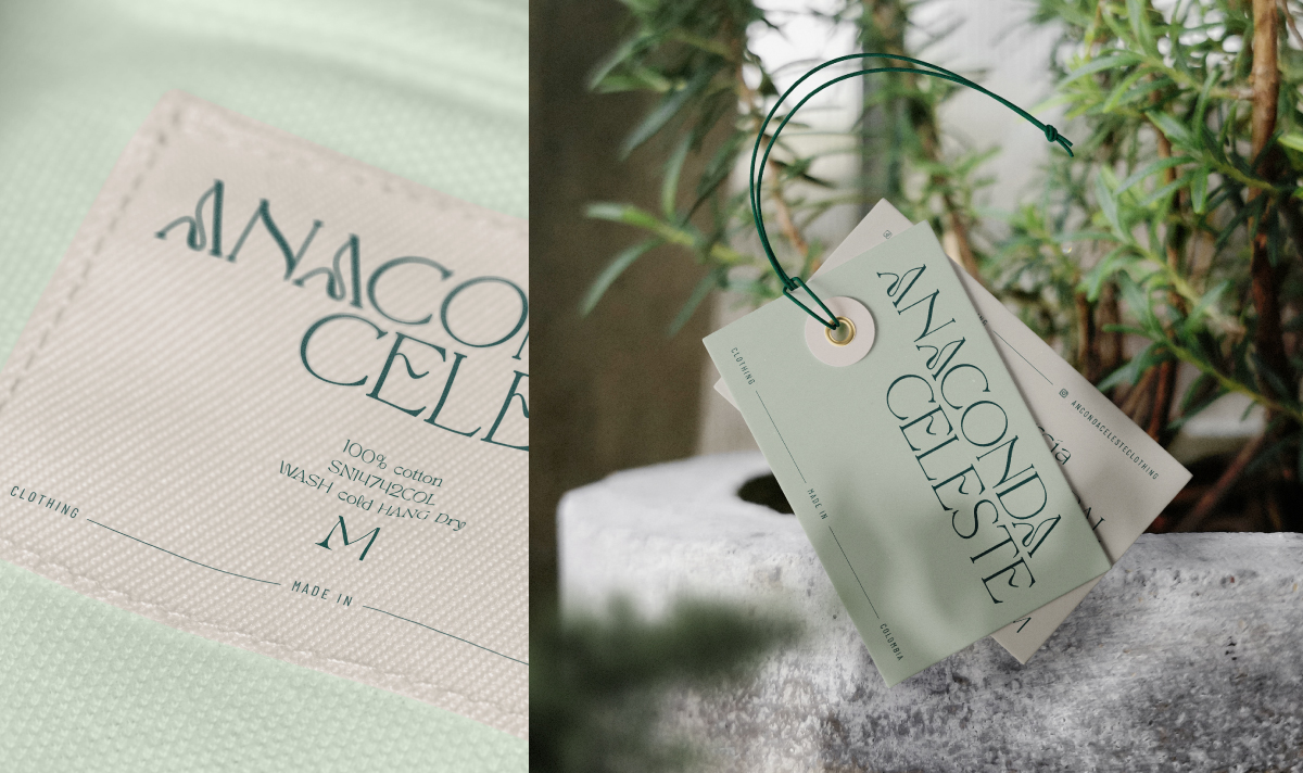 Diseño de marca  - Anaconda Celeste