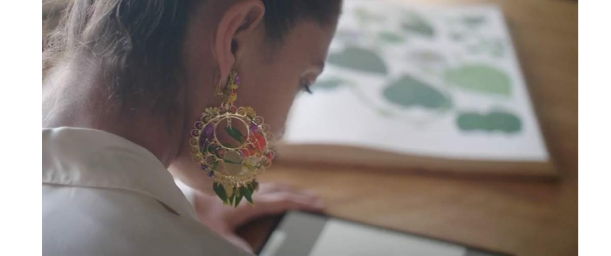 Producción de video y fotografía y estrategia digital - Flowers of Colombia