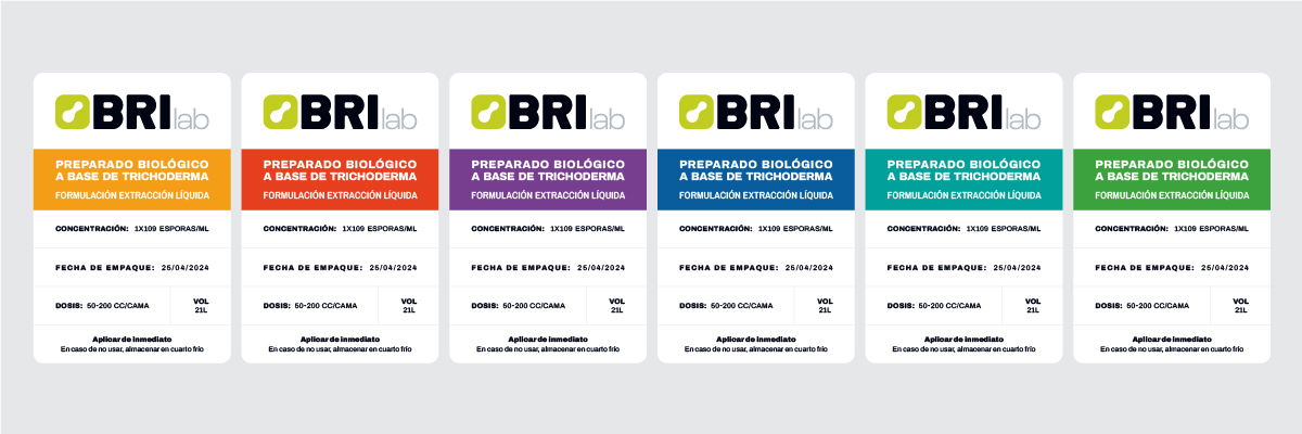 Diseño de marca - Brilab