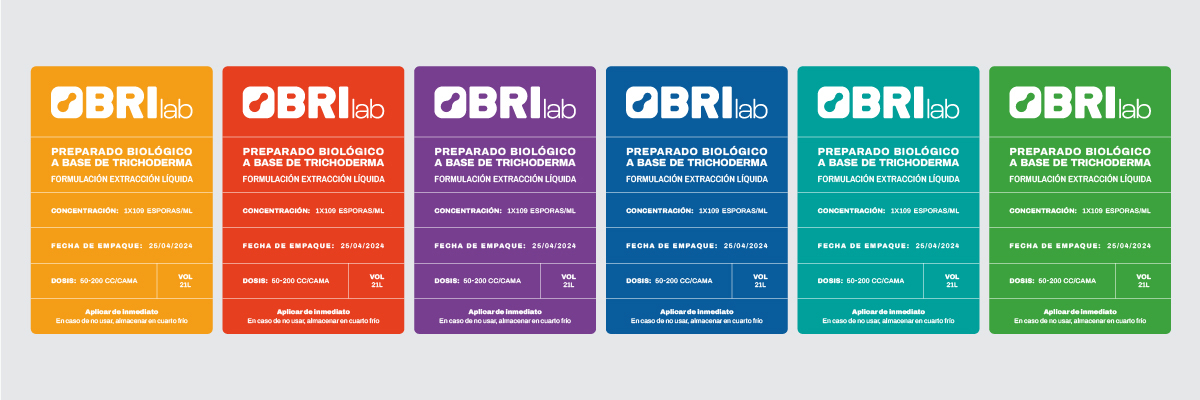 Diseño de marca - Brilab