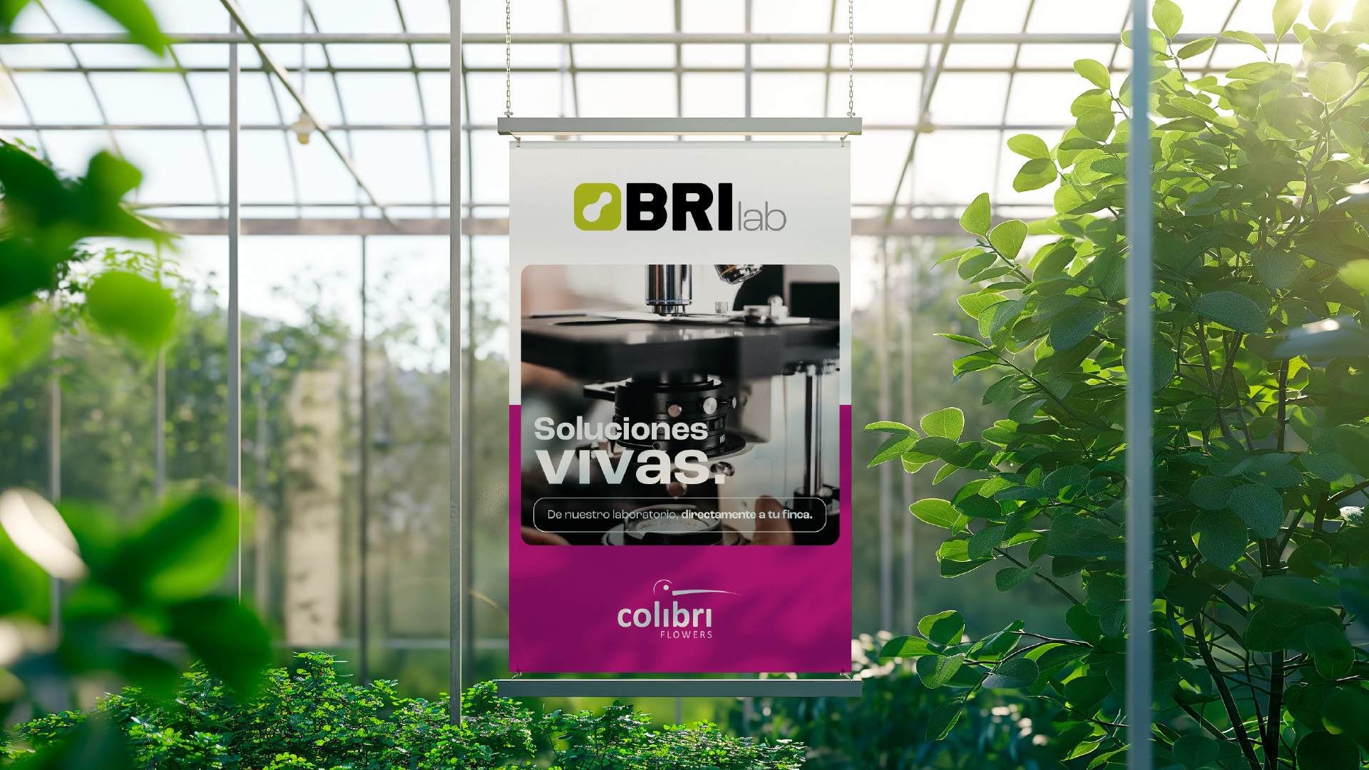 Diseño de marca - Brilab