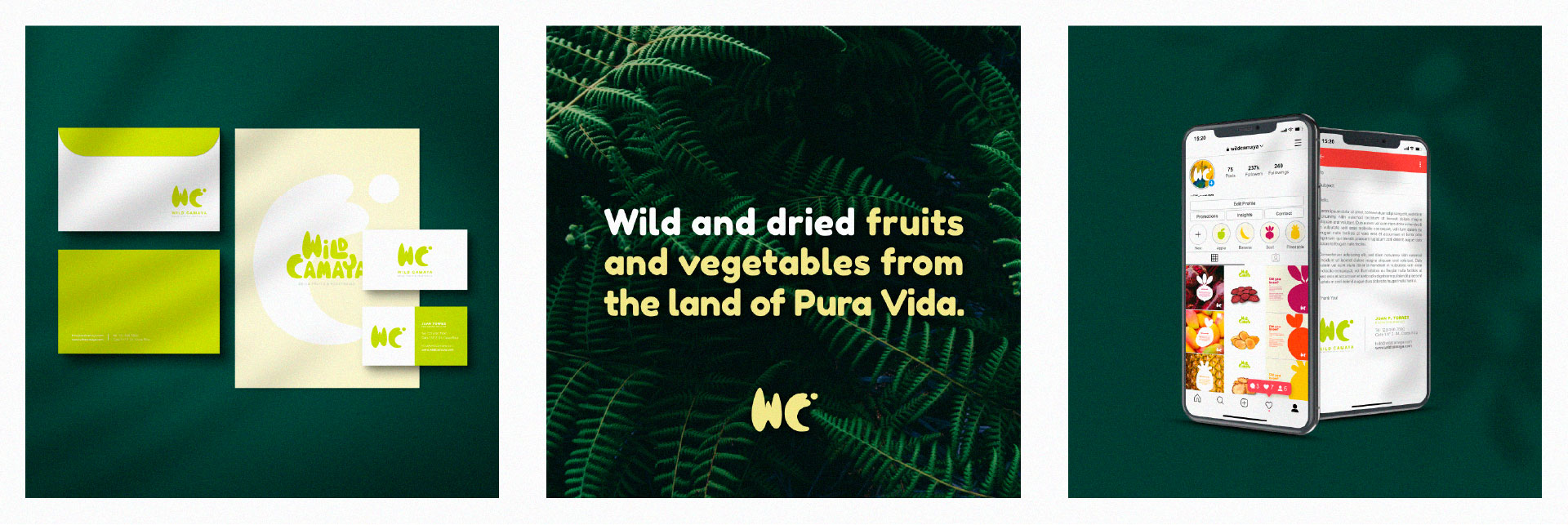 Diseño de marca - Wild Camaya