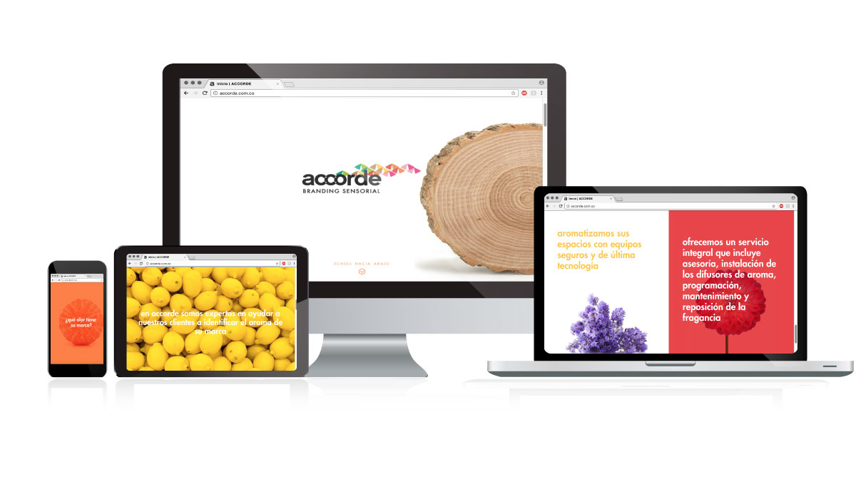 Diseño de marca - Accorde Diseño de marca - Accorde