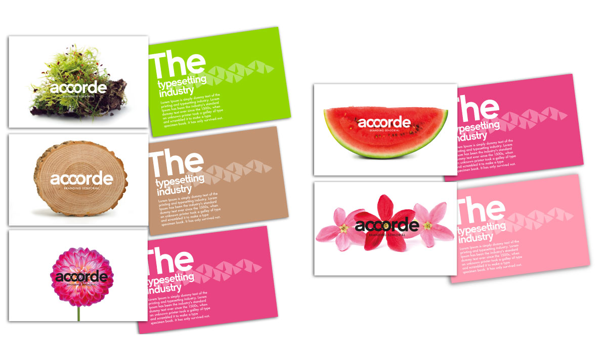 Diseño de marca - Accorde