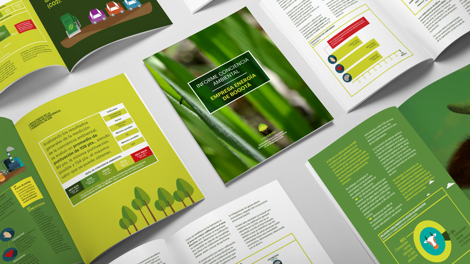 Diseño de infografías  para proceso de compensación de huella de carbono y diseño editorial para informes -  CO2Cero