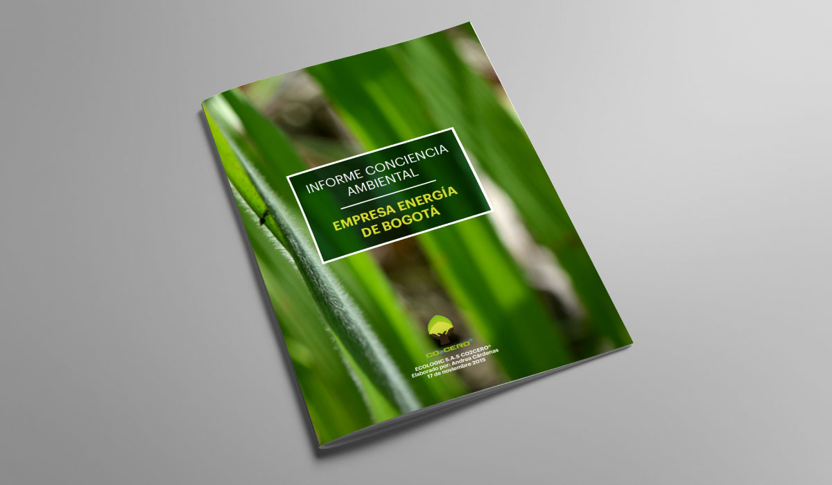 Diseño de infografías  para proceso de compensación de huella de carbono y diseño editorial para informes -  CO2Cero