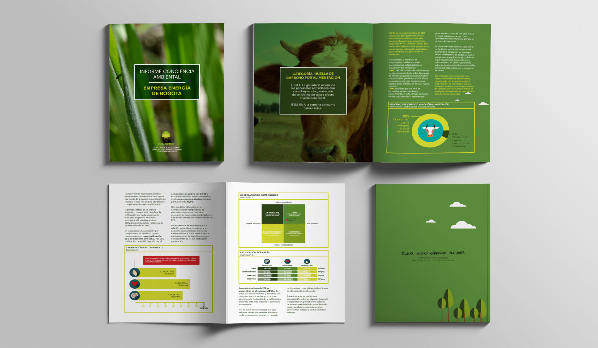 Diseño de infografías  para proceso de compensación de huella de carbono y diseño editorial para informes -  CO2Cero