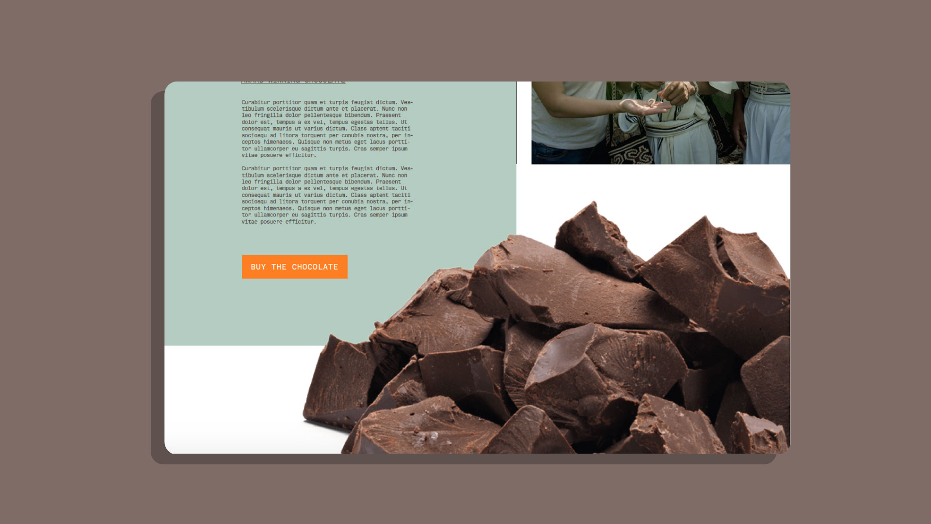 Página web - Cacao Hunters