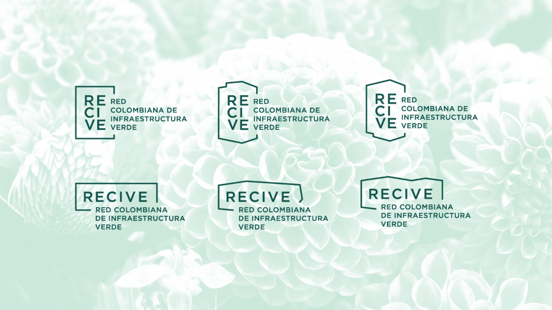 Diseño de marca - Recive Diseño de marca - Recive