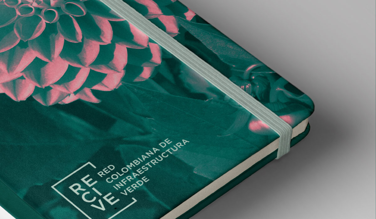 Diseño de marca - Recive