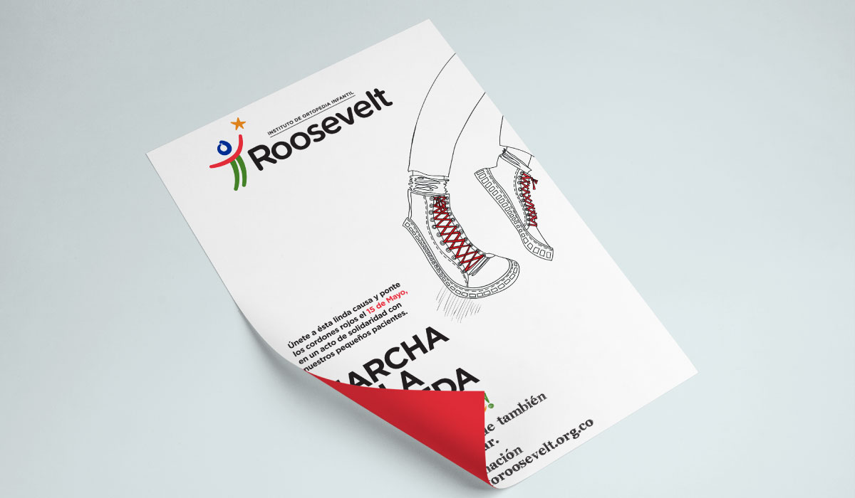 Diseño de campaña para Fundraising - Instituto Roosevelt