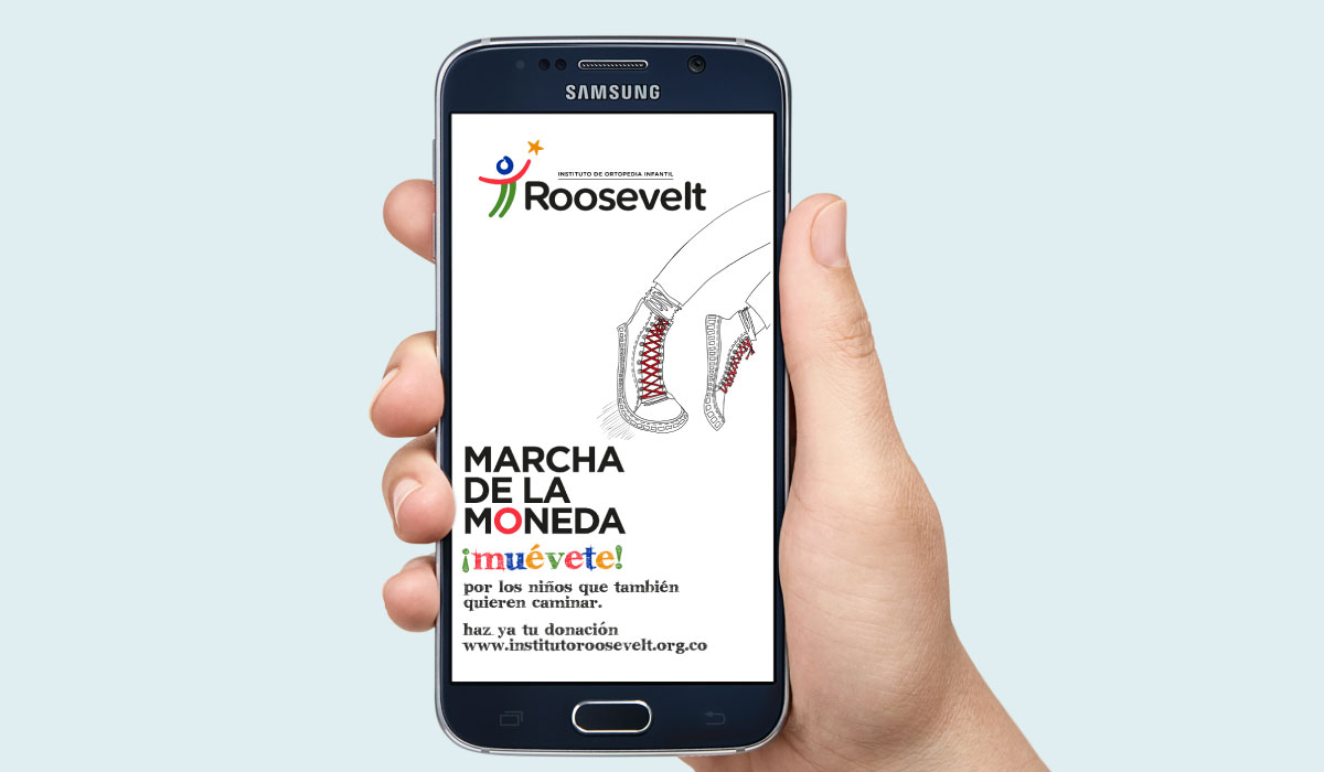 Diseño de campaña para Fundraising - Instituto Roosevelt