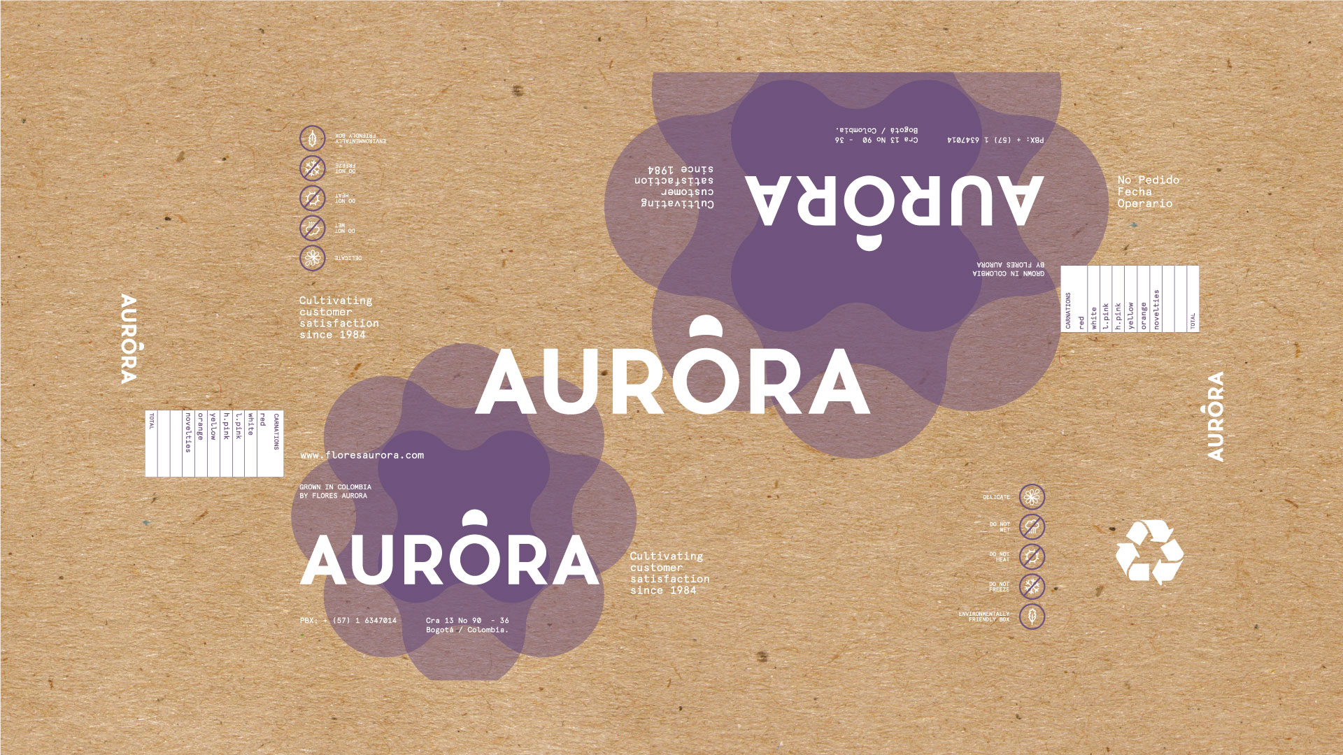 Rediseño de marca - Aurora