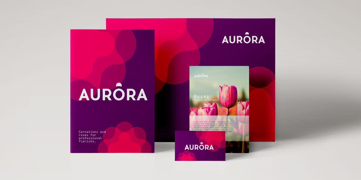 Rediseño de marca - Aurora