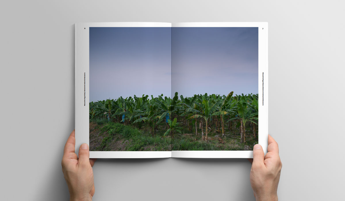 Diseño editorial para manuales de banano - Solidaridad