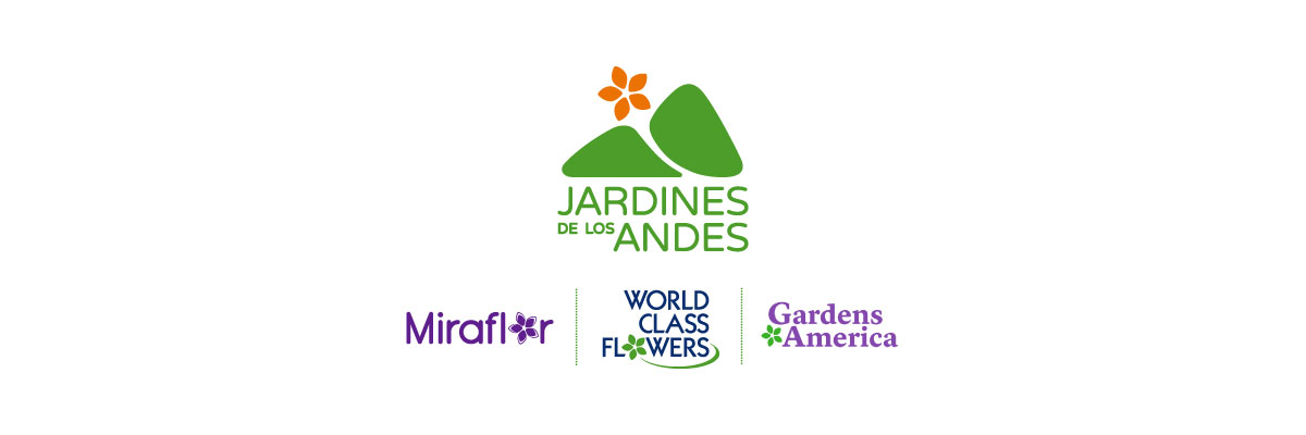 Arquitectura de marca y diseño de piezas para ferias, videos - Jardines de los Andes Arquitectura de marca y diseño de piezas para ferias, videos - Jardines de los Andes