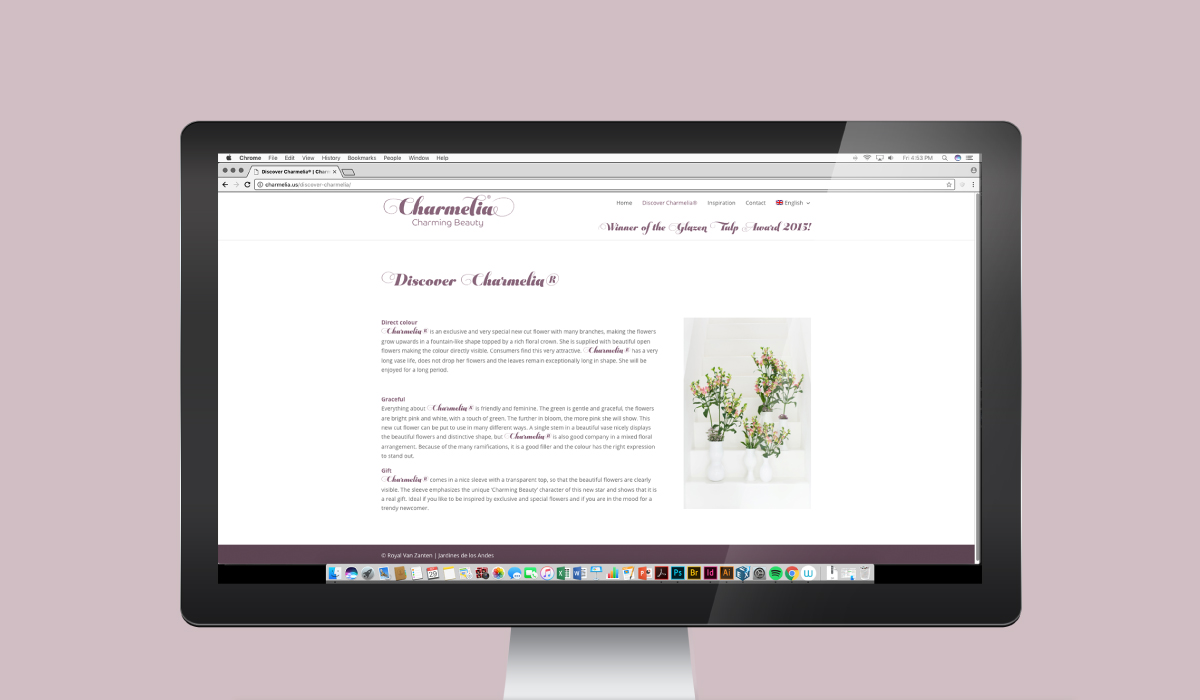 Diseño de sistema visual - Charmelia Diseño de sistema visual - Charmelia