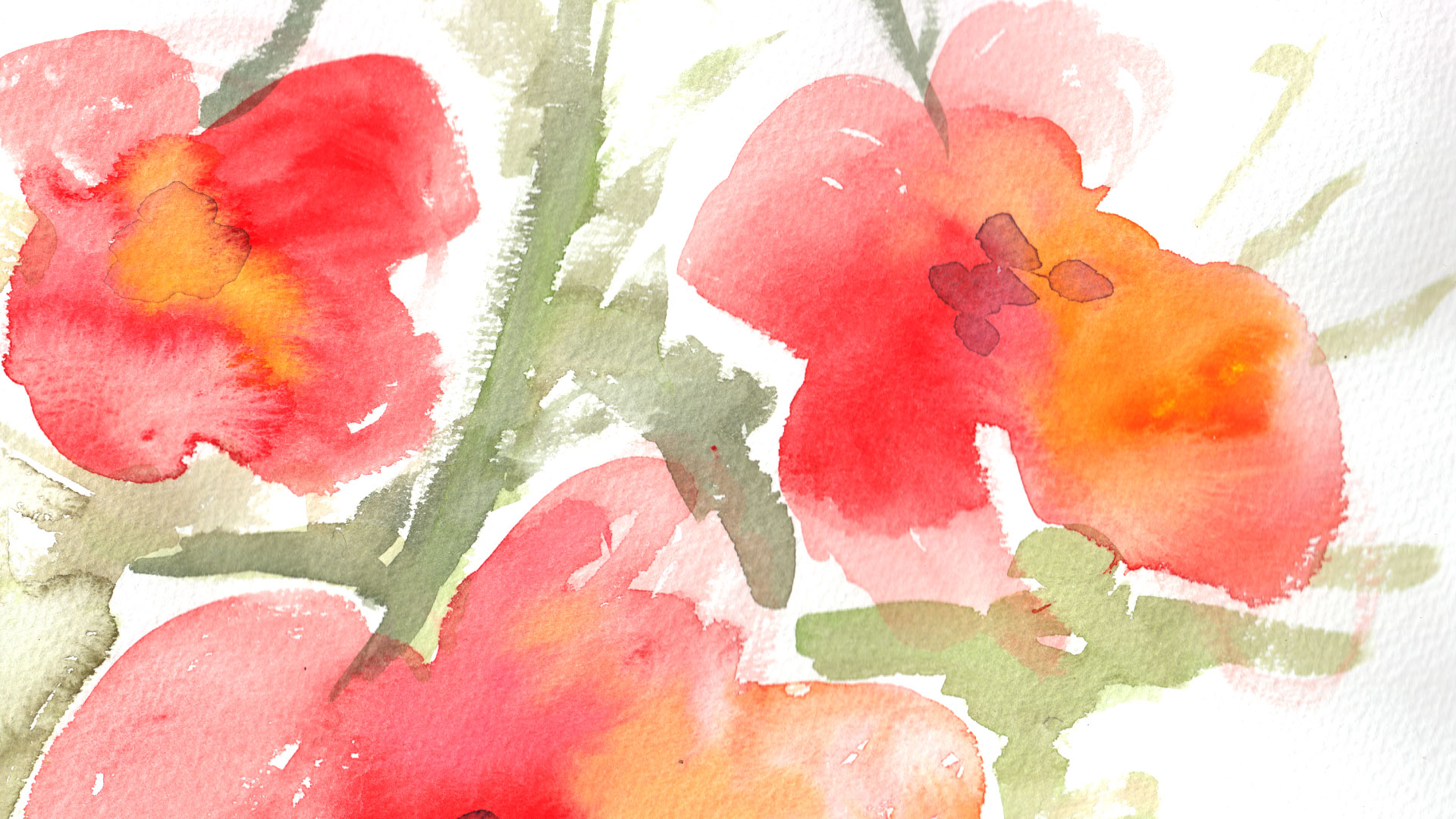 Diseño de marca - Enjoy Flowers