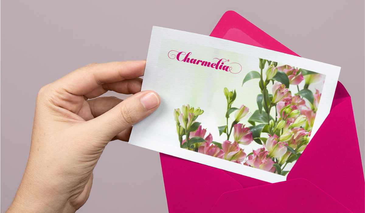 Diseño de sistema visual - Charmelia