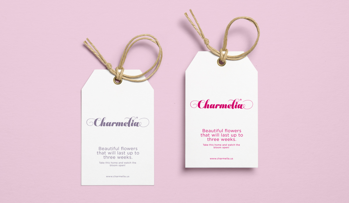 Diseño de sistema visual - Charmelia