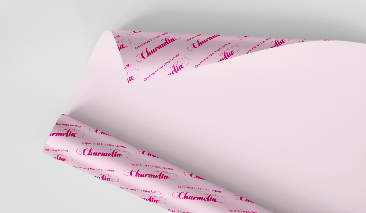 Diseño de sistema visual - Charmelia