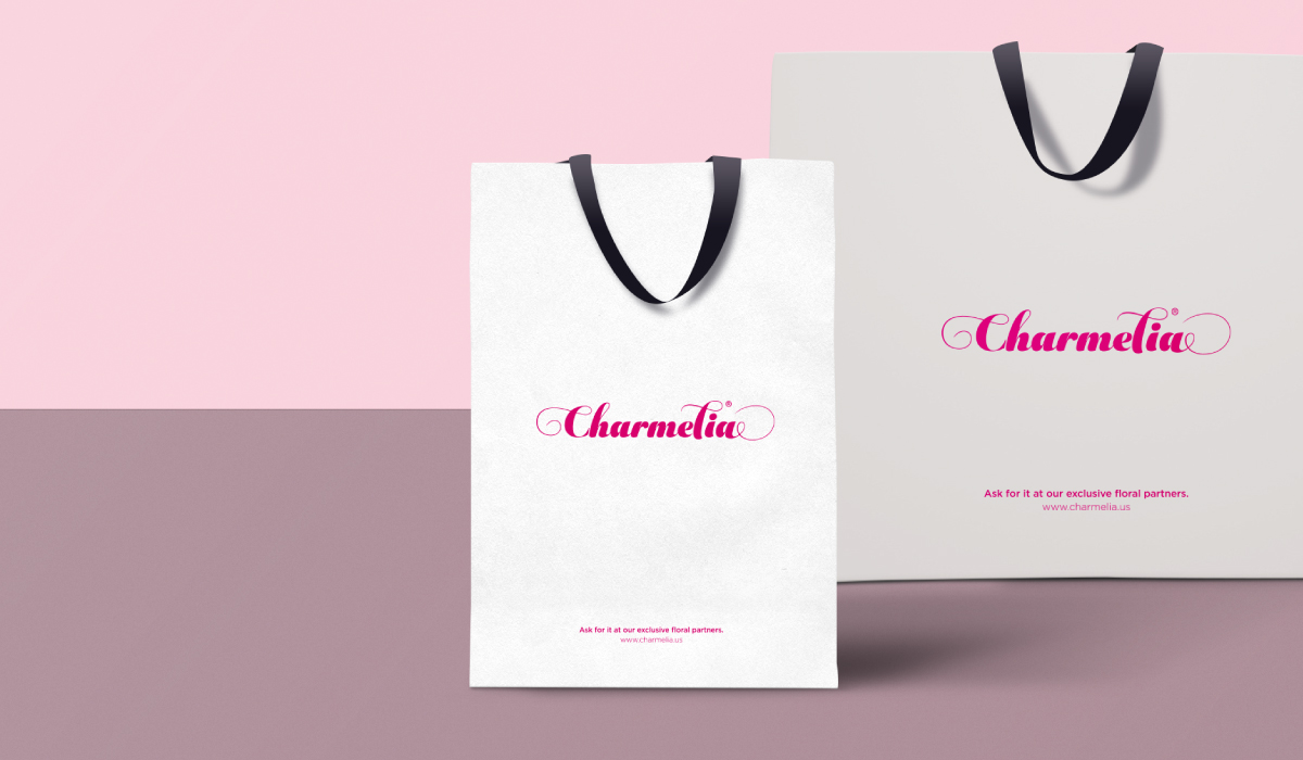 Diseño de sistema visual - Charmelia