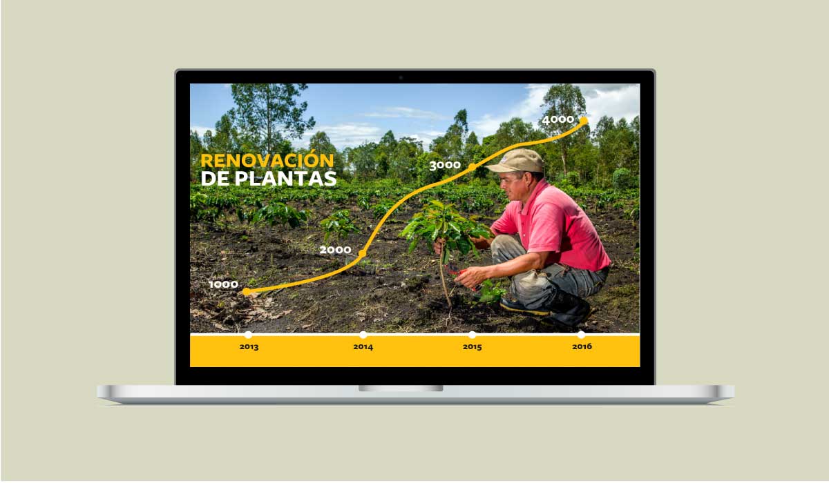 Videos de sostenibilidad en café para Colombia, Perú y México y diseño y producción de piezas gráficas de comunicación - Solidaridad
