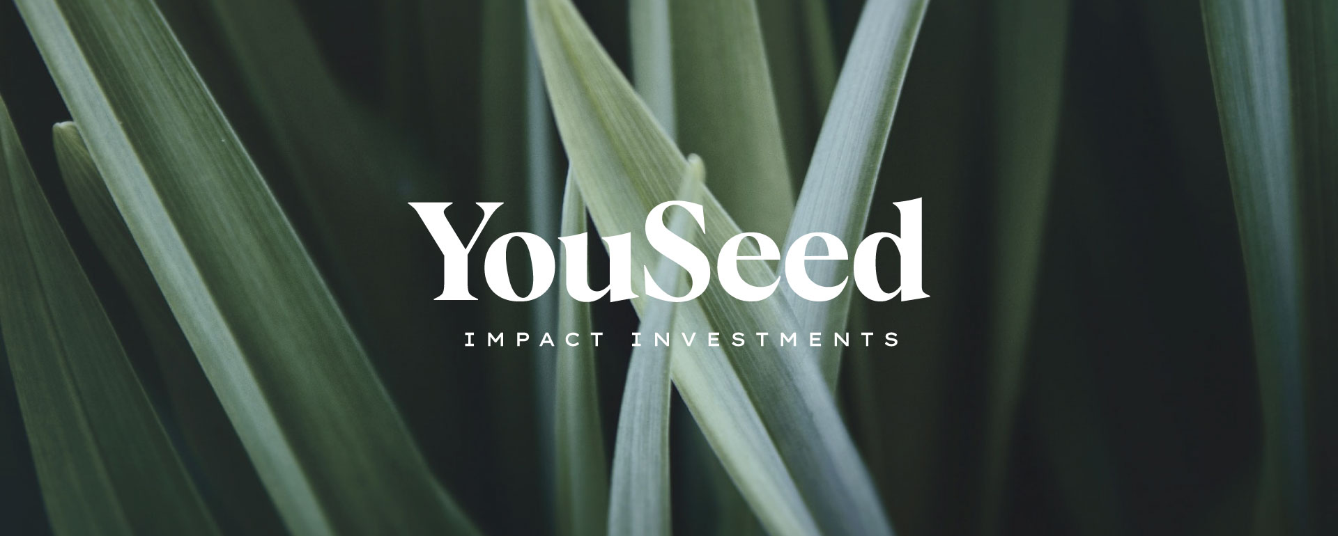 Diseño de marca - YouSeed