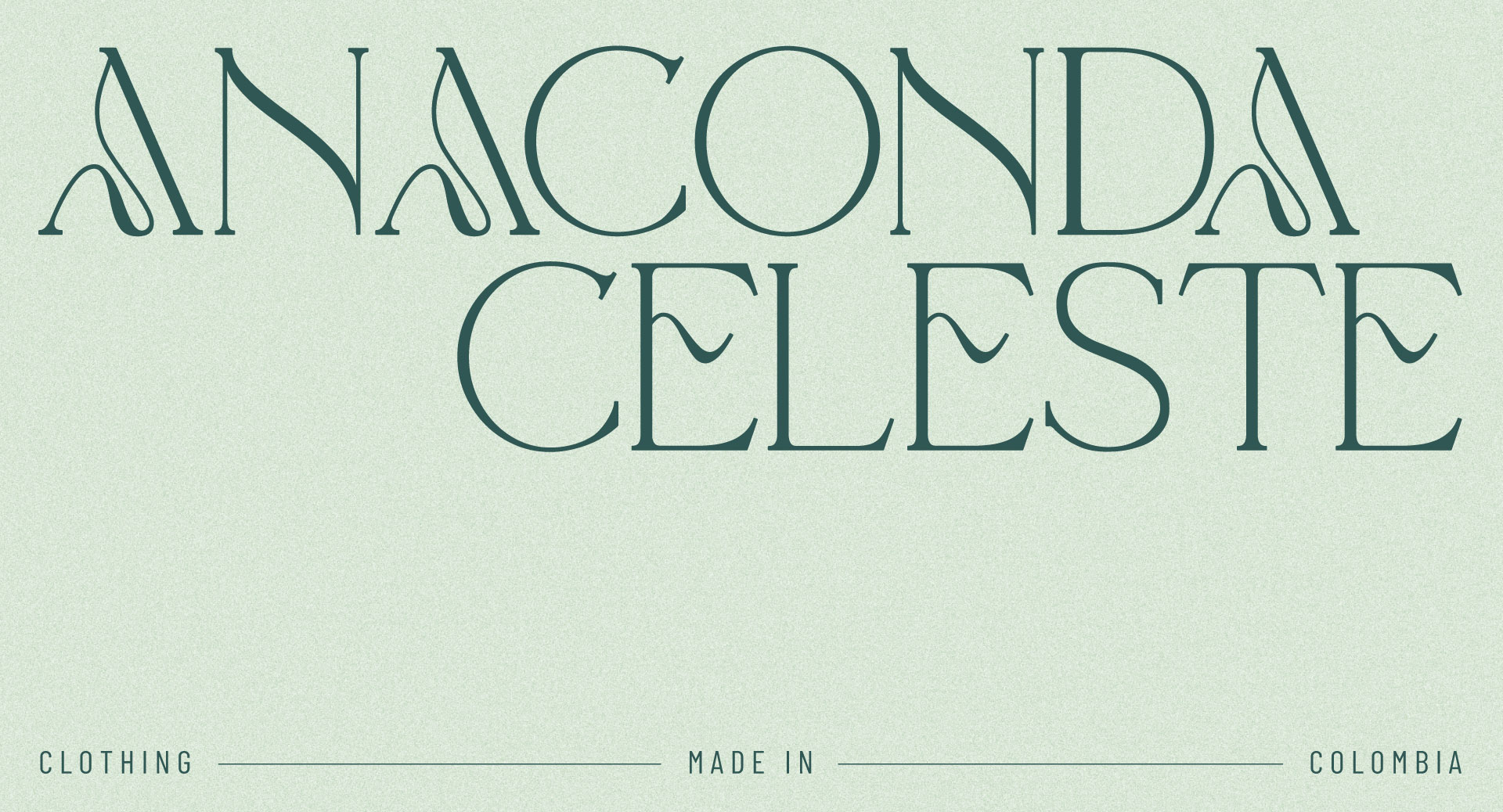 Diseño de marca  - Anaconda Celeste