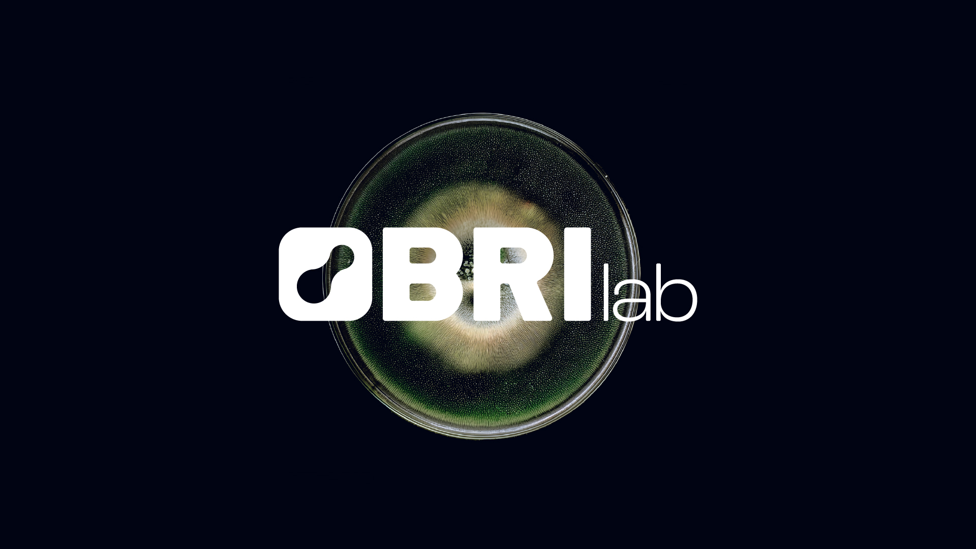 Diseño de marca - Brilab