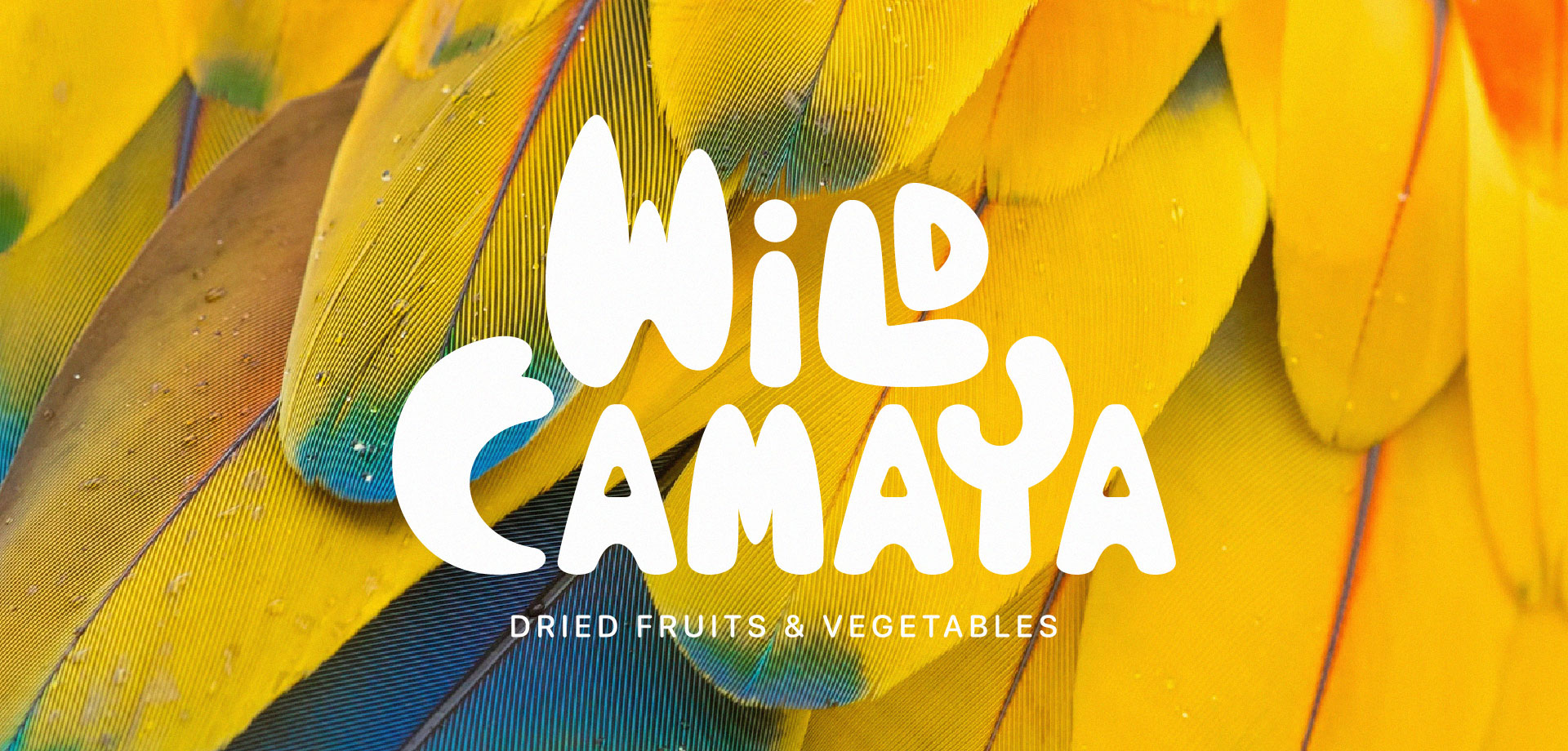 Diseño de marca - Wild Camaya