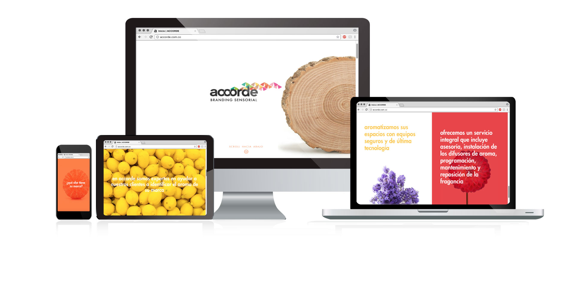 Accorde -  Landing Page