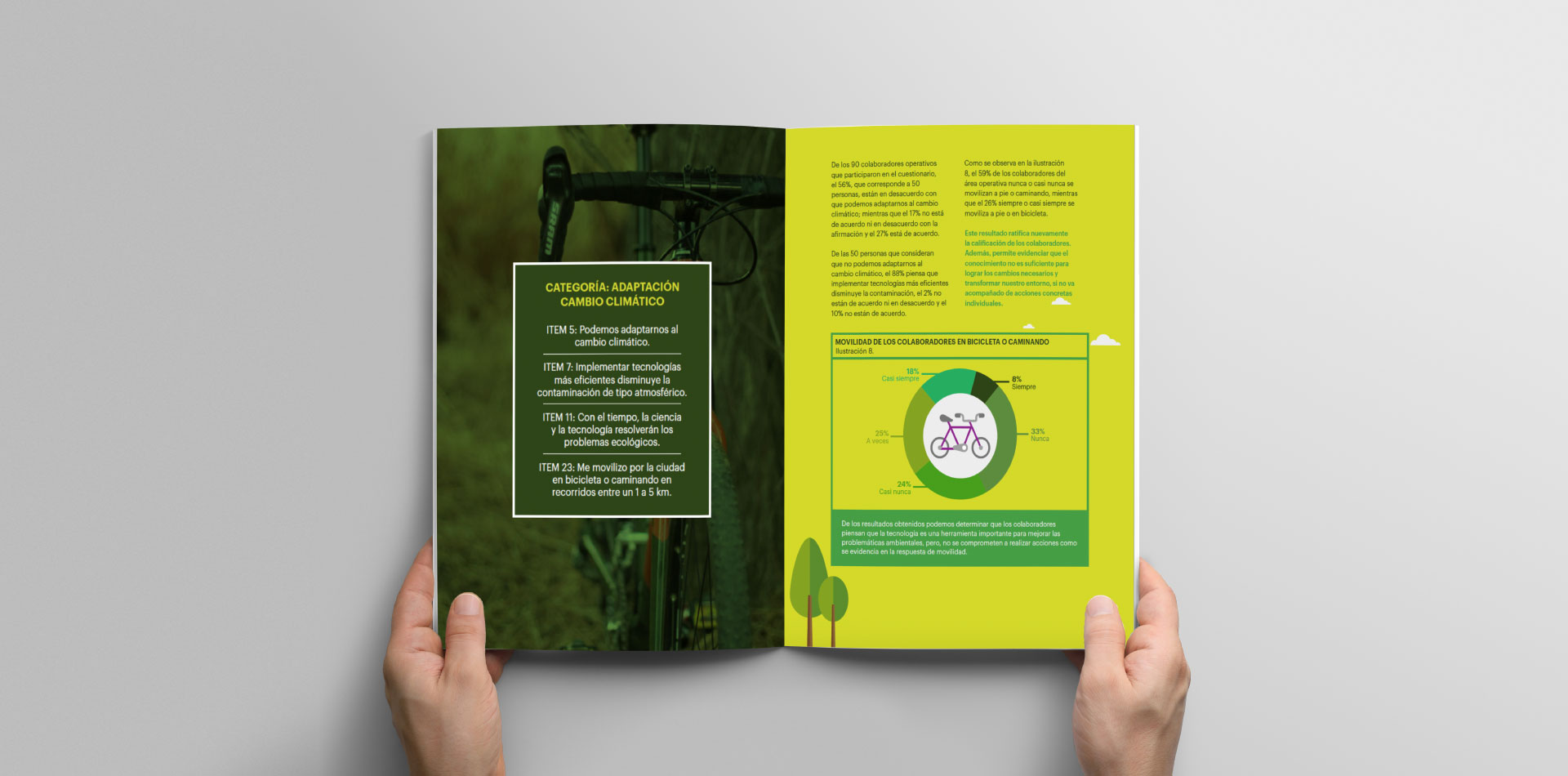 Diseño de infografías  para proceso de compensación de huella de carbono y diseño editorial para informes -  CO2Cero