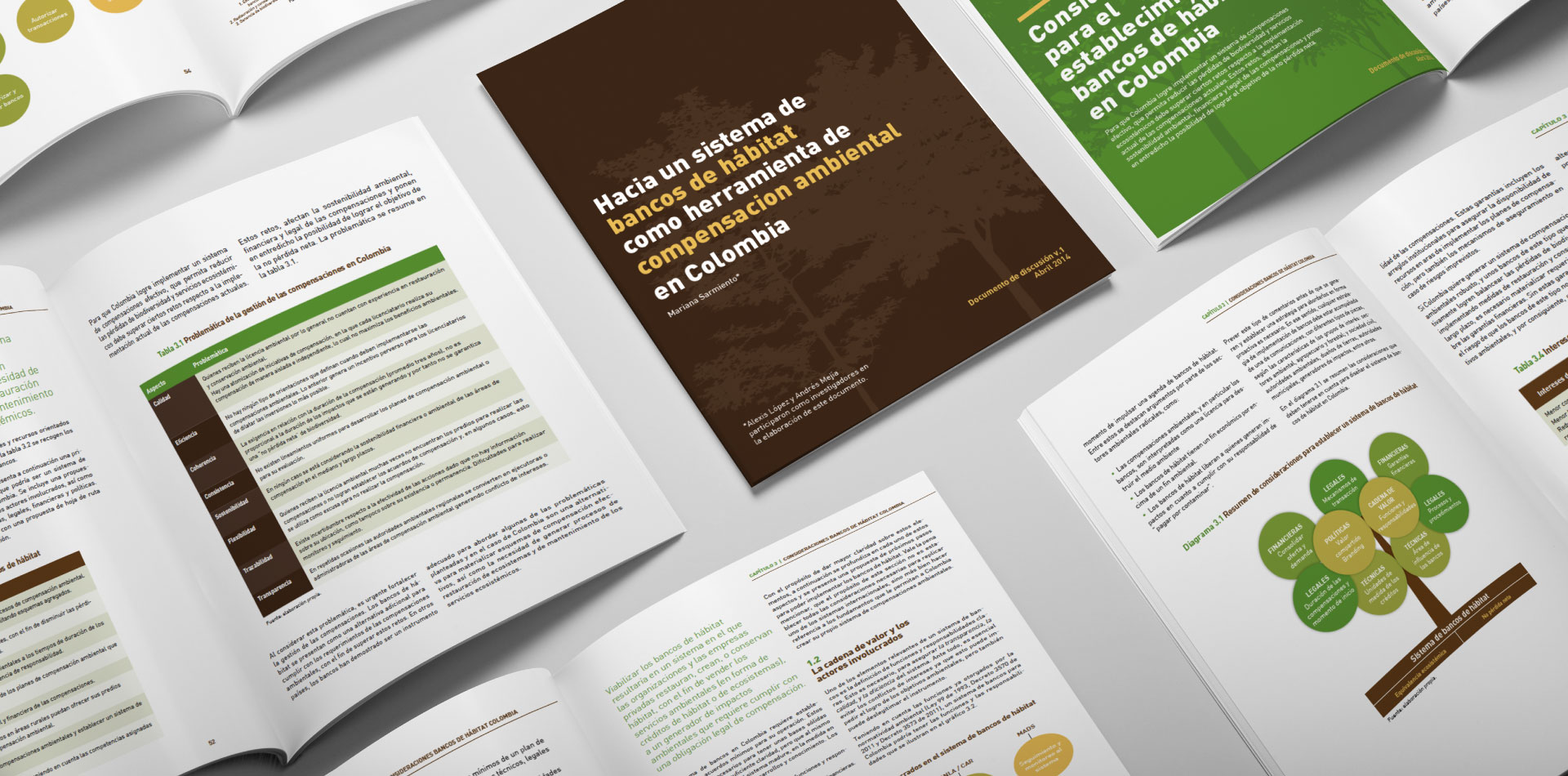 Diseño editorial y diseño de infografías  - Terrasos