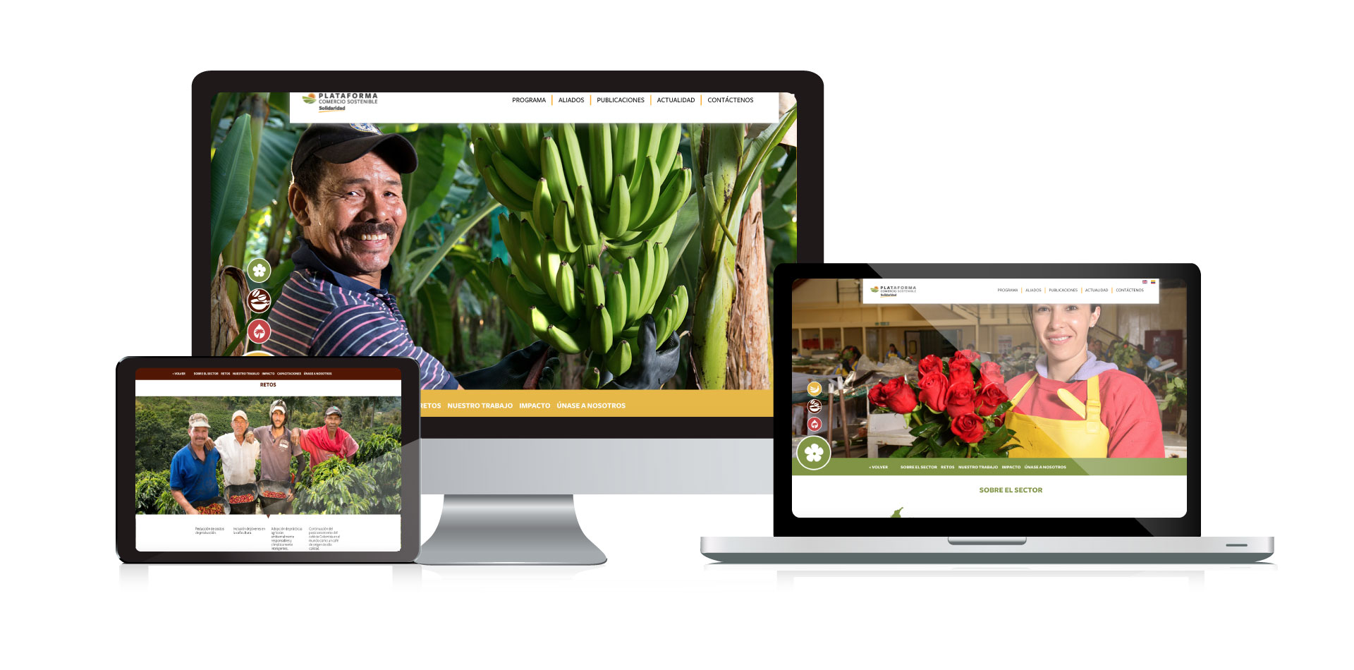 Diseño de Plataforma digital de Comercio Sostenible - Solidaridad