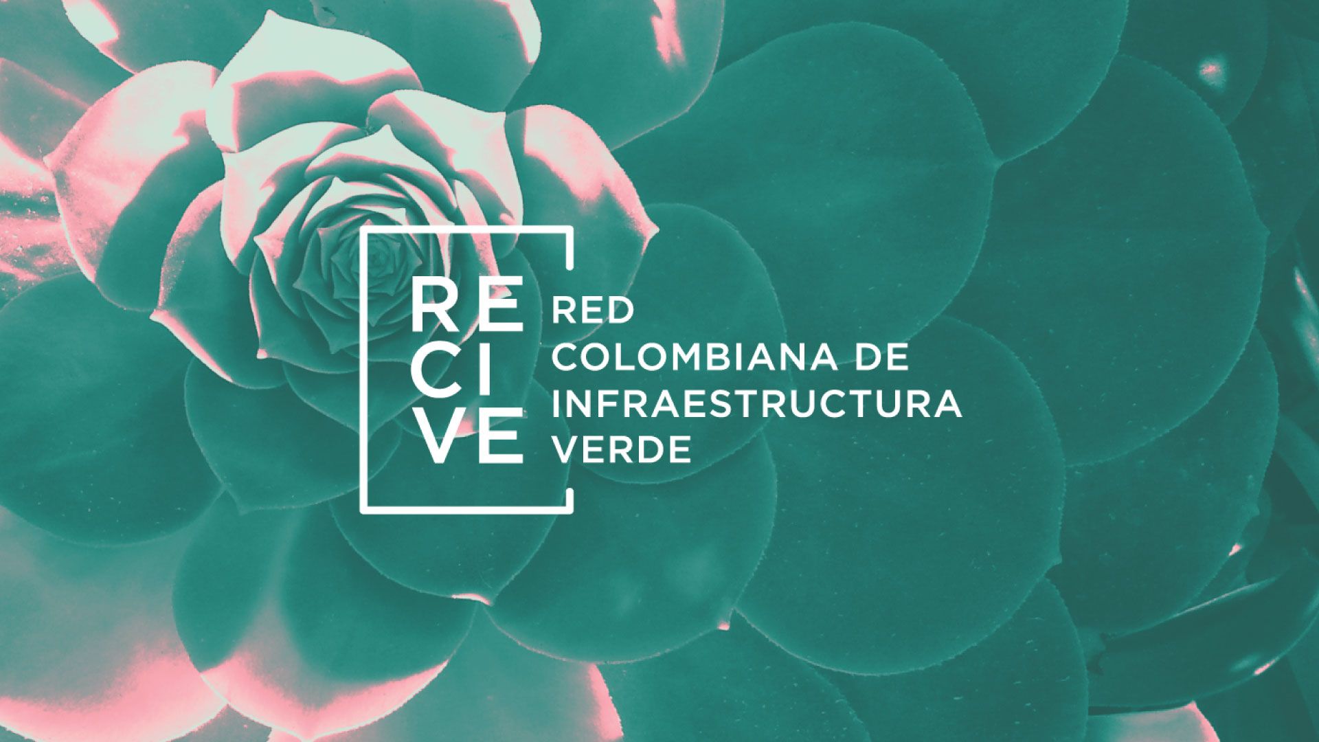Diseño de marca - Recive