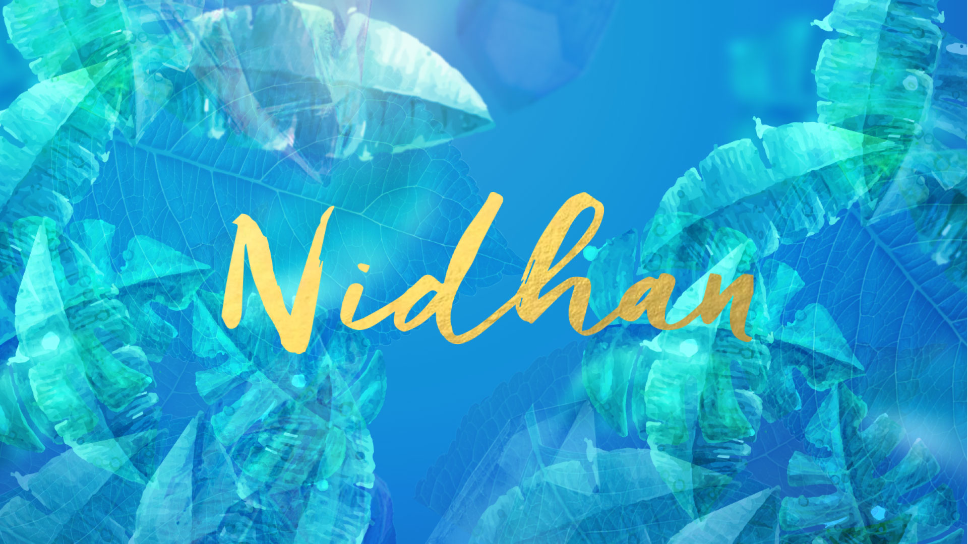 Diseño de marca - Niddhan