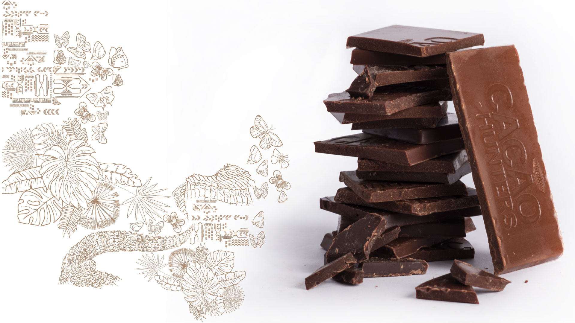 Diseño de marca, empaques, stands, página web - Cacao Hunters
